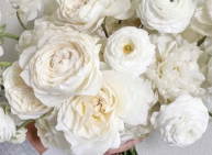 Wedding florals Kent