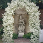 Romantic flower arch