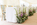 Wedding meadow